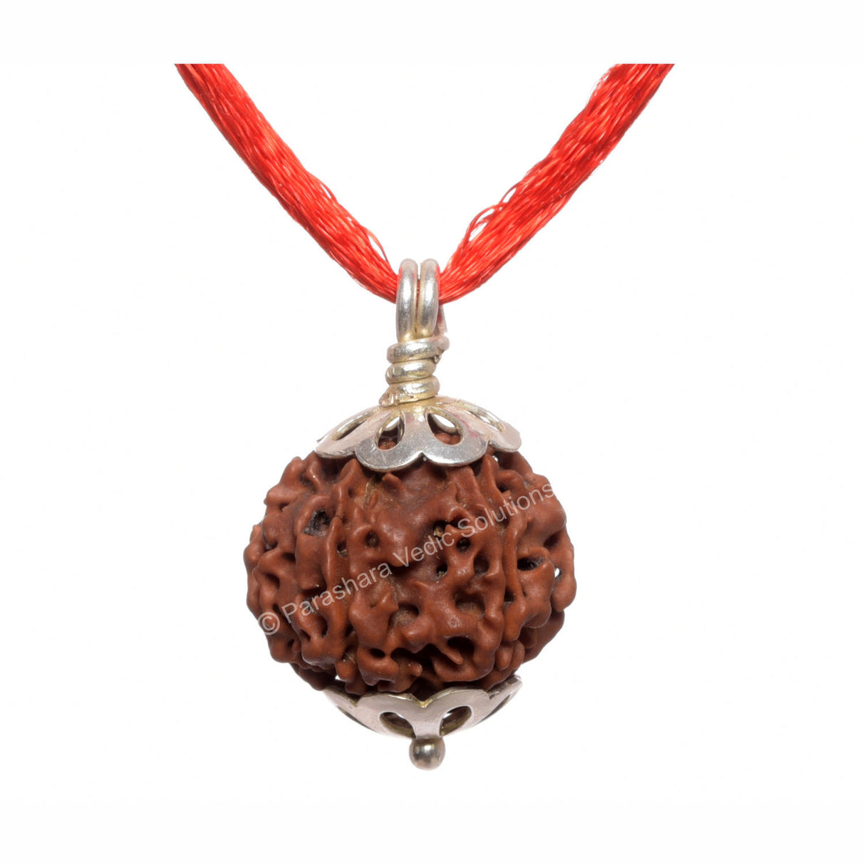 ARKAM Six Mukhi Rudraksha Certified/ Original Nepali 6 Mukhi Rudraksh/ Natural 6 faced Rudraksha with Silver Pendant (Brown) with Certificate and Puja Instructions - Retail Maharaj
