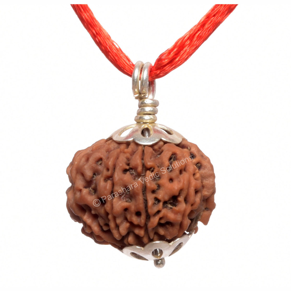 ARKAM Nine Mukhi Rudraksha Certified/ Original Nepali 9 Mukhi Rudraksh/ Natural 9 faced Rudraksha with Silver Pendant (Brown) with Certificate and Puja Instructions - Retail Maharaj