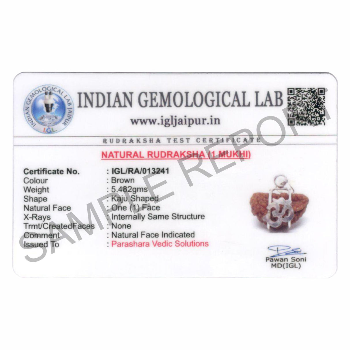 ARKAM One Mukhi Rudraksha Certified Kaju Dana/ Original 1 Mukhi Rudraksh Kaju Dana/ Natural 1 faced Rudraksha with Silver Pendant (Brown) with Certificate and Puja Instructions - Retail Maharaj