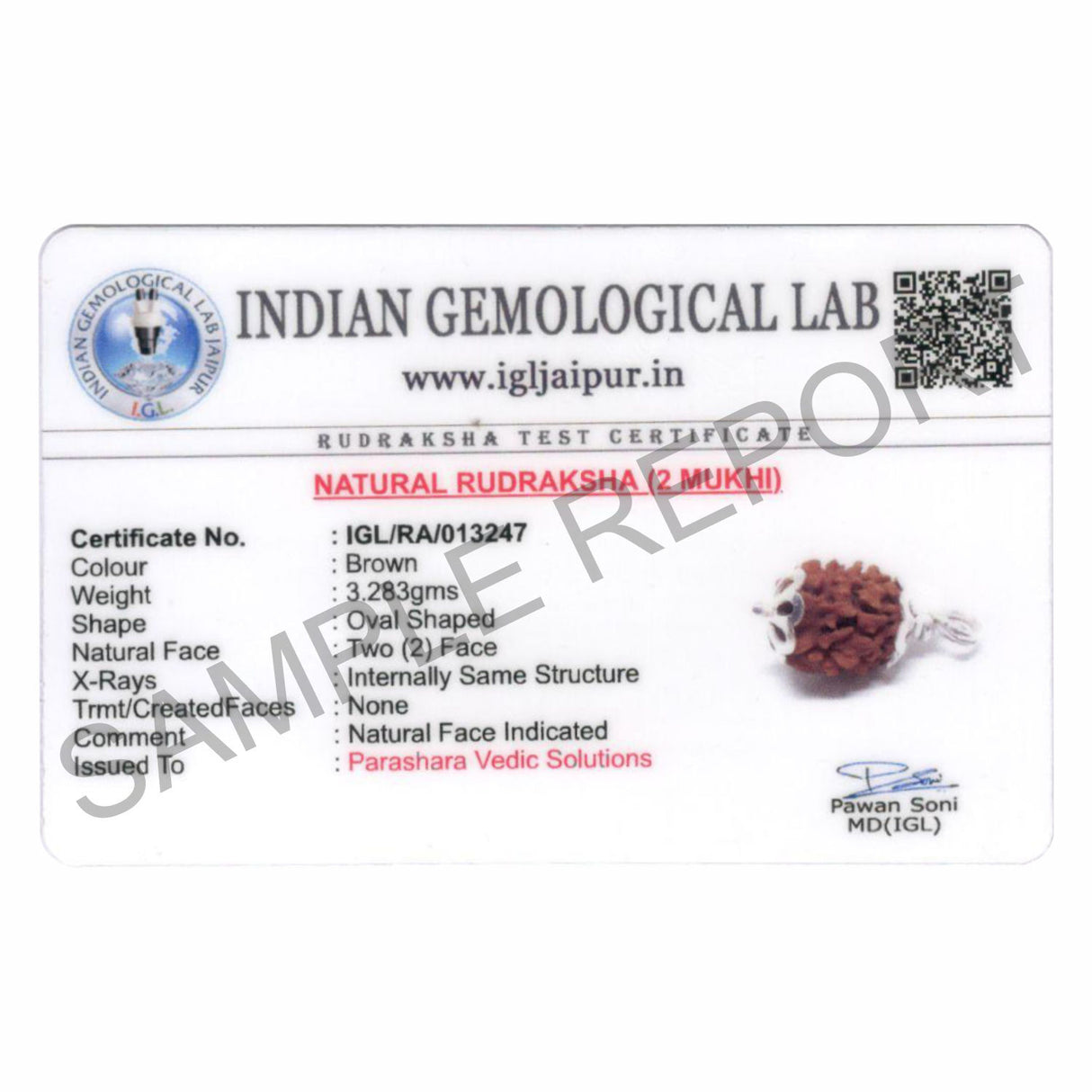 ARKAM Two Mukhi Oval Rudraksha Certified/ Original 2 Mukhi Rudraksh/ Natural 2 faced Rudraksha with Silver Pendant (Brown) with Certificate and Puja Instructions - Retail Maharaj