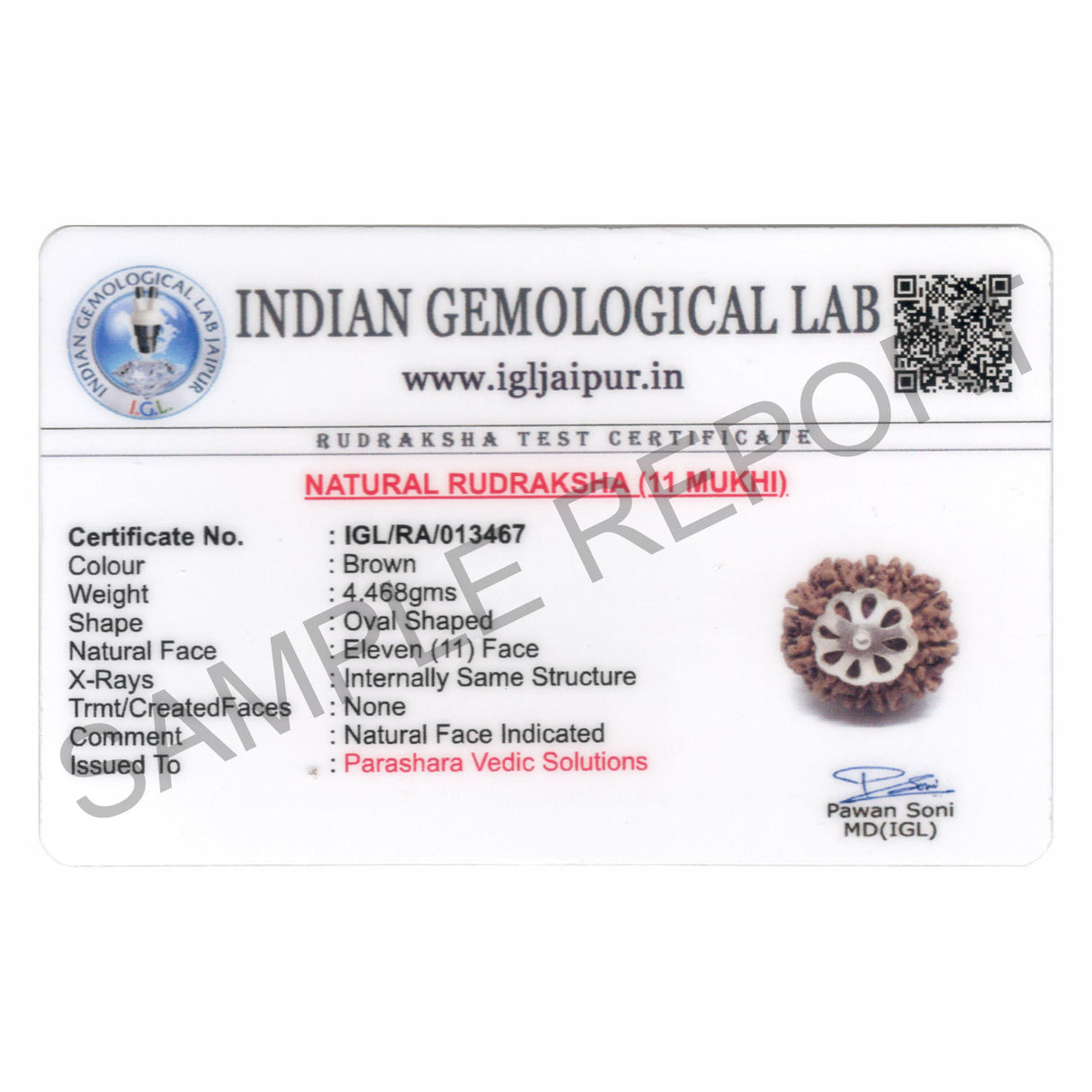 ARKAM Eleven Mukhi Rudraksha Certified/ Original Nepali 11 Mukhi Rudraksh/ Natural 11 faced Rudraksha with Silver Pendant (Brown) with Certificate and Puja Instructions - Retail Maharaj