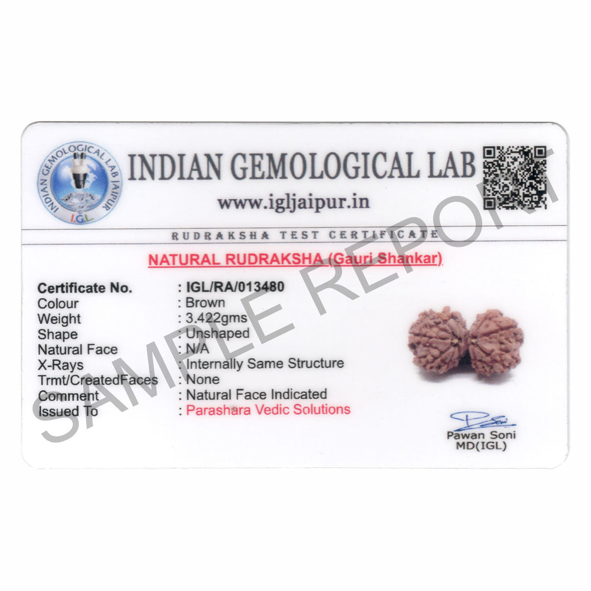 ARKAM Gauri Shankar Rudraksha Certified/ Original Nepali Gauri Shankar Rudraksh/ Natural Gauri Shankar Rudraksha (Brown) with Certificate and Puja Instructions - Retail Maharaj