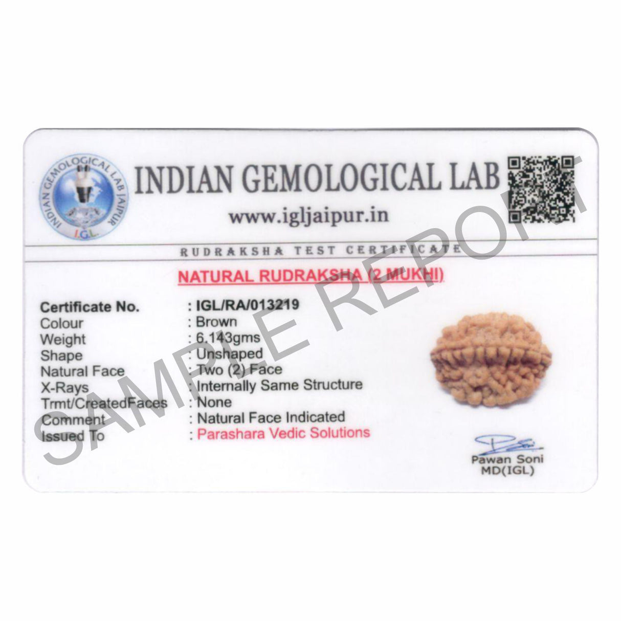ARKAM Two Mukhi Kaju Rudraksha Certified/ Original 2 Mukhi Rudraksh/ Natural 2 faced Rudraksha (Brown) with Certificate and Puja Instructions - Retail Maharaj