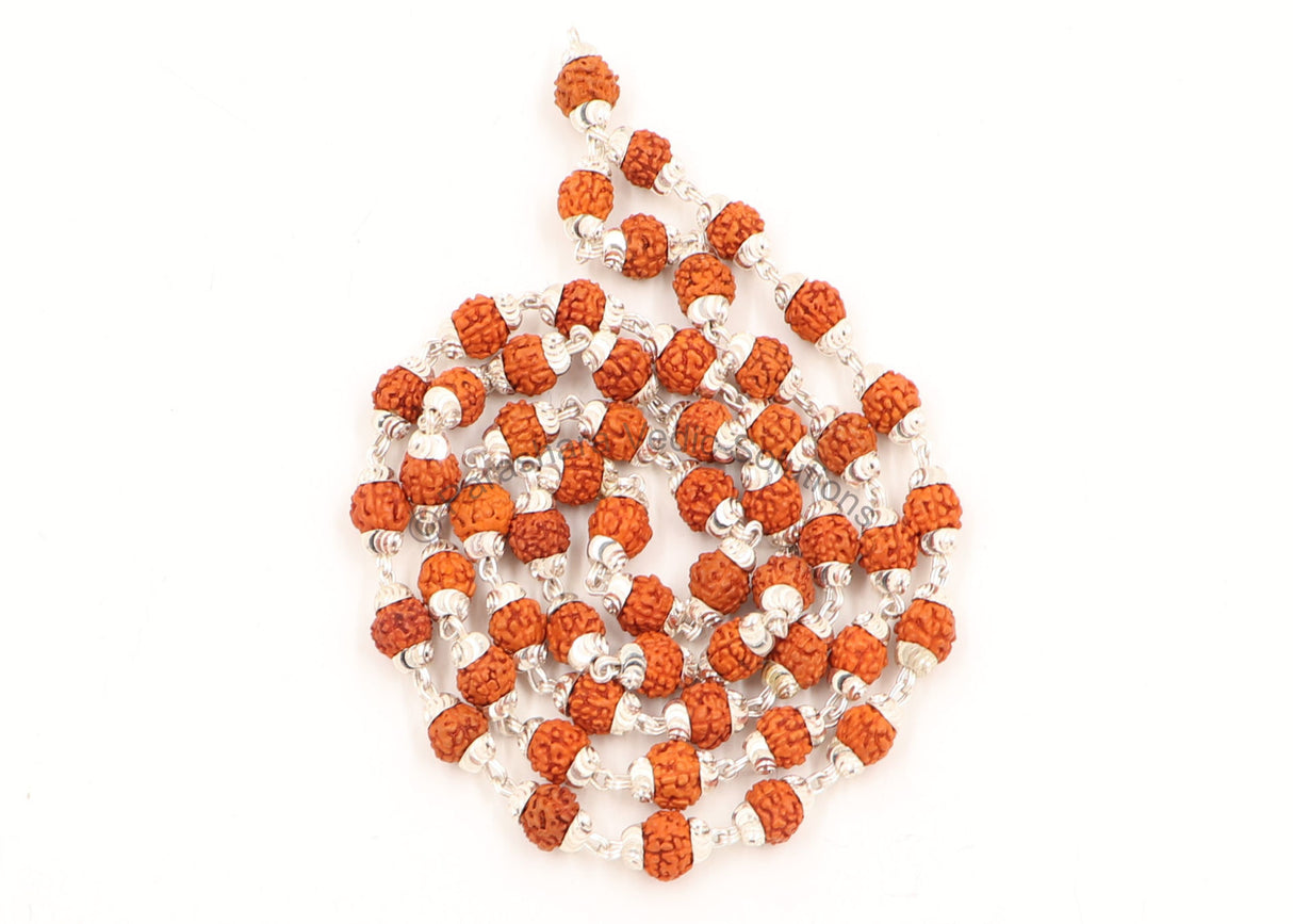 Arkam Rudraksh Mala with Silver Capping Certified/ Silver Rudraksh Mala for Men and Women/ Rudraksha mala Silver Cap Original/ Rudraksh Mala Set in Silver (Size: 6mm, Length: 24 inches, Beads: 54+1) - Retail Maharaj