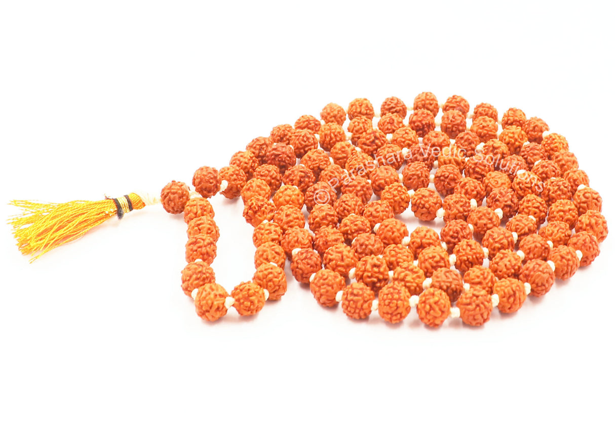 Arkam Rudraksha Mala/ Natural Rudraksh Mala/ Original Rudraksha mala/ Rudraksha Mala for men and women/ 7mm Rudraksha Rosary (Size: 7mm, Beads: 108+1) - Retail Maharaj
