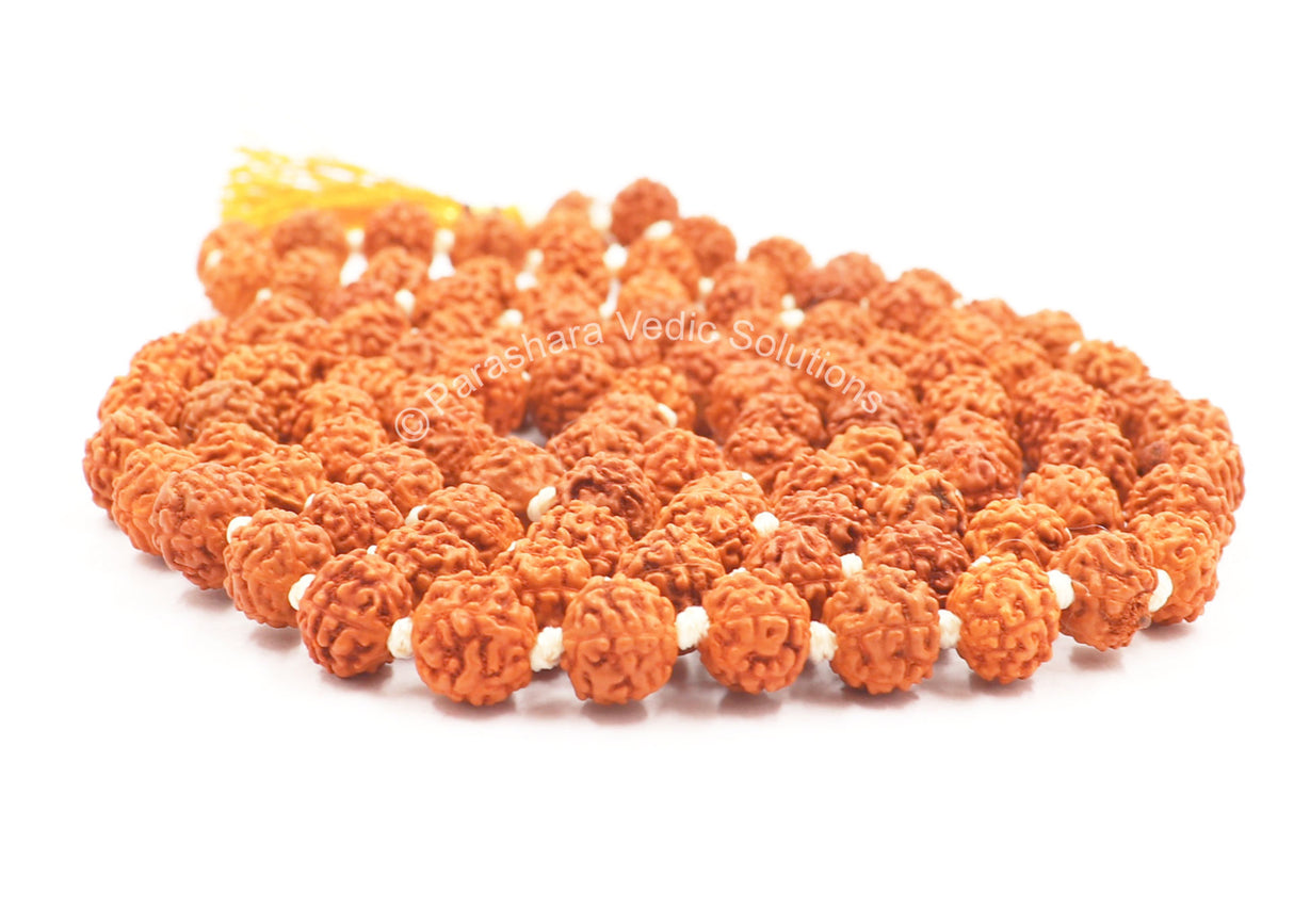 Arkam Rudraksha Mala/ Natural Rudraksh Mala/ Original Rudraksha mala/ Rudraksha Mala for men and women/ 7mm Rudraksha Rosary (Size: 7mm, Beads: 108+1) - Retail Maharaj