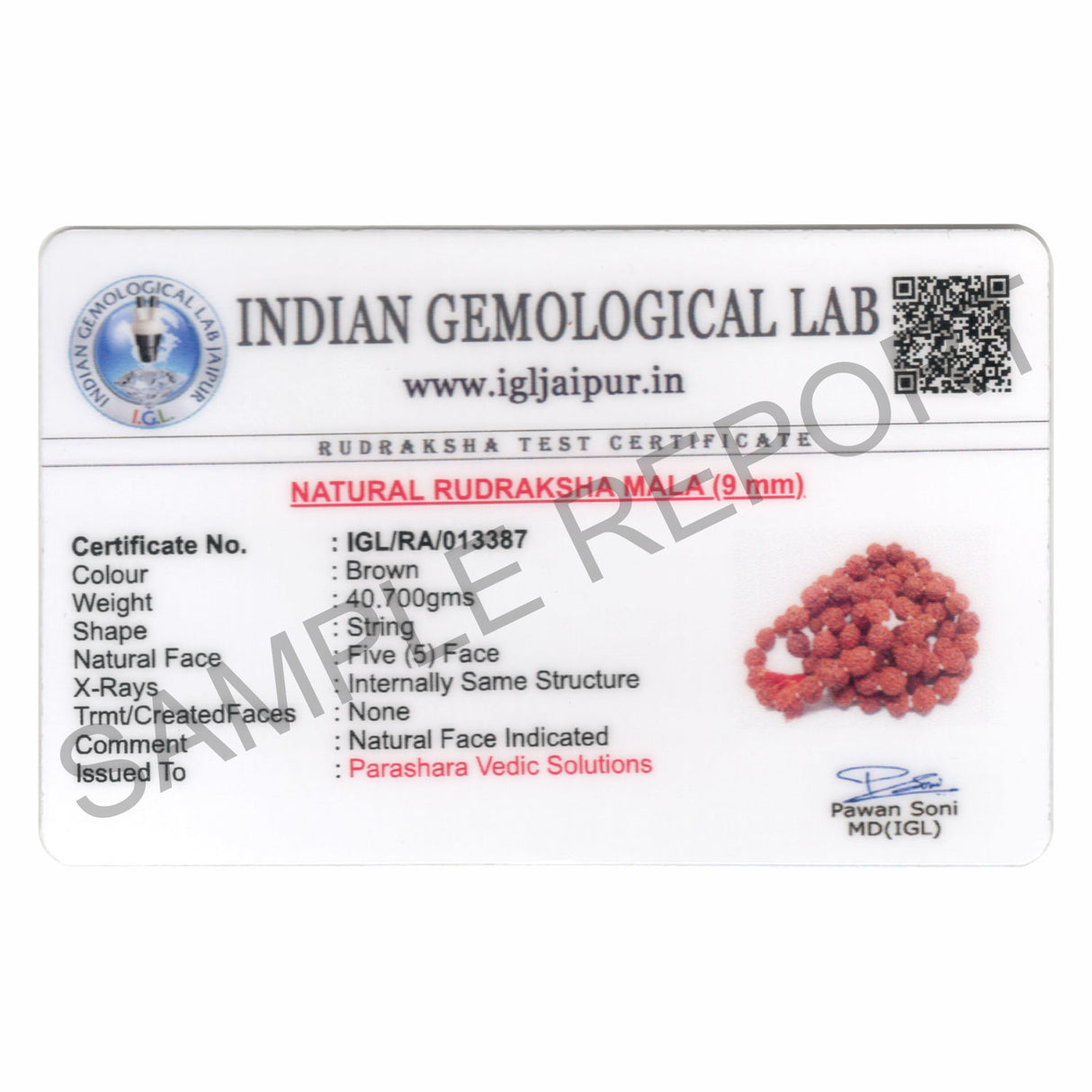 Arkam Rudraksha Mala/Natural Rudraksh Mala/Original Rudraksha mala/Rudraksha Mala for jaap/ 9mm Rudraksha Rosary (Size: 9mm, Beads: 108+1) - Retail Maharaj