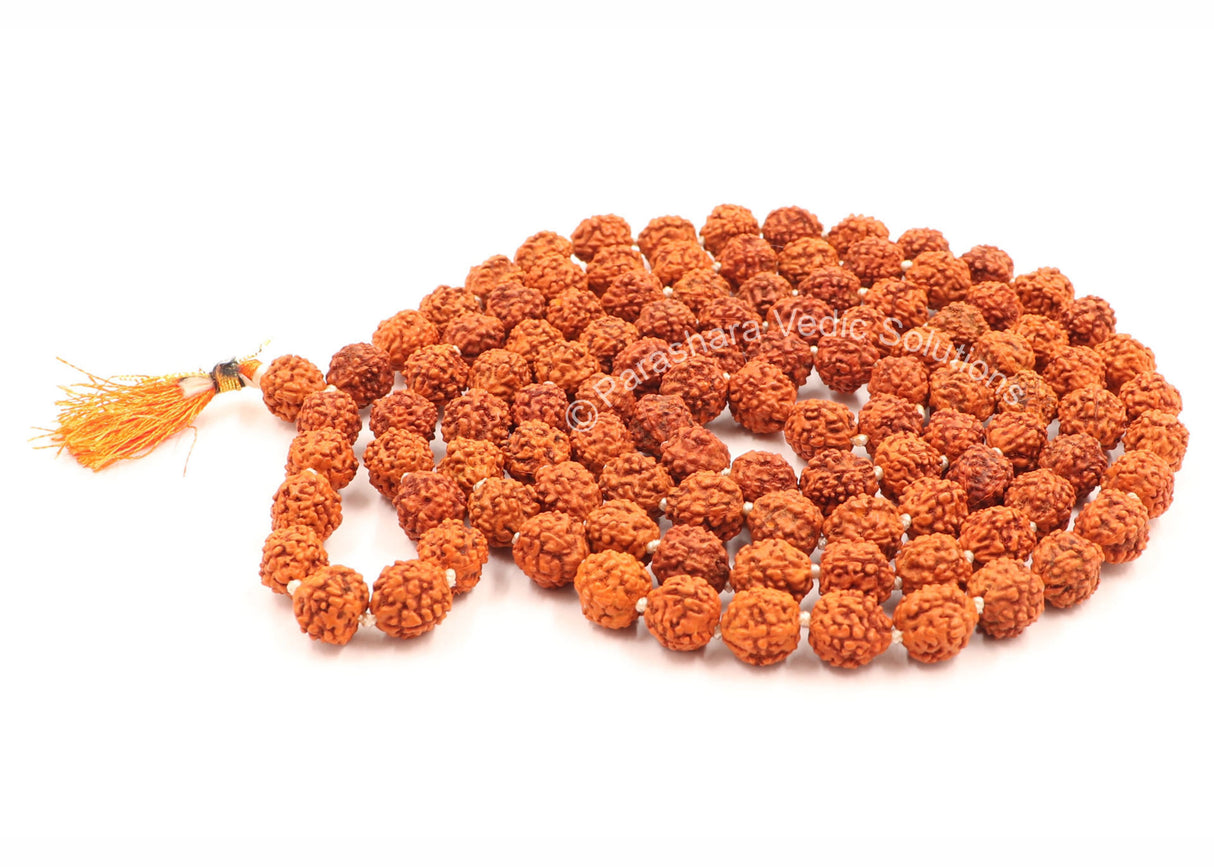 Arkam Rudraksha Mala/Natural Rudraksh Mala/Original Rudraksha mala/Rudraksha Mala for jaap/ 9mm Rudraksha Rosary (Size: 9mm, Beads: 108+1) - Retail Maharaj