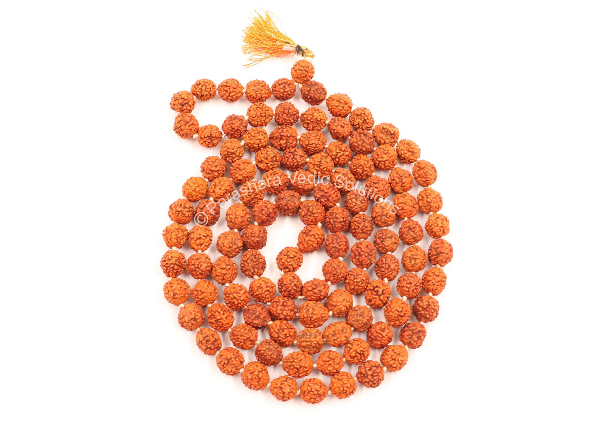 Arkam Rudraksha Mala/Natural Rudraksh Mala/Original Rudraksha mala/Rudraksha Mala for jaap/ 9mm Rudraksha Rosary (Size: 9mm, Beads: 108+1) - Retail Maharaj