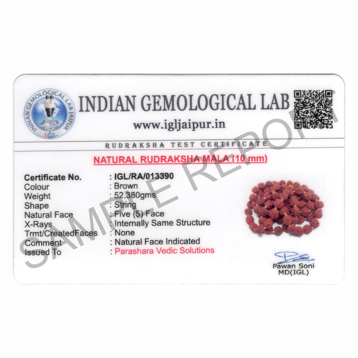Arkam Rudraksha Mala/Natural Rudraksh Mala/Original Rudraksha mala/Rudraksha Mala for jaap/ 10mm Rudraksha Rosary (Size: 10mm, Beads: 108+1) - Retail Maharaj