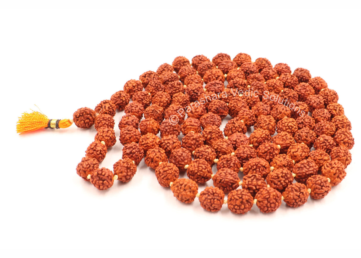 Arkam Rudraksha Mala/Natural Rudraksh Mala/Original Rudraksha mala/Rudraksha Mala for jaap/ 10mm Rudraksha Rosary (Size: 10mm, Beads: 108+1) - Retail Maharaj