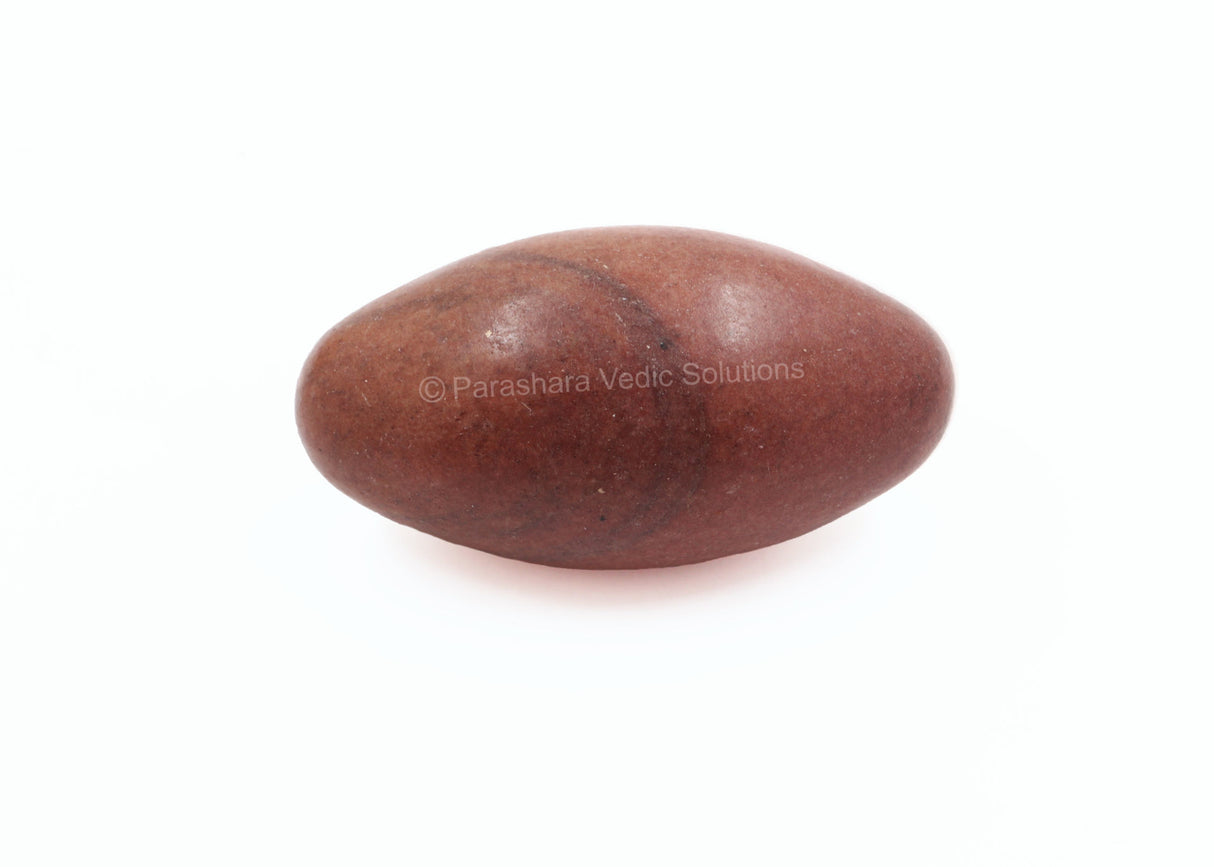 ARKAM Narmadeshwar Shivling/ Original Narmadeshwar Shivlinga/ Narmada Shivlinga/ Narmada River Shivalingam (Height: 2.5 inches, Color: Brown) - Retail Maharaj