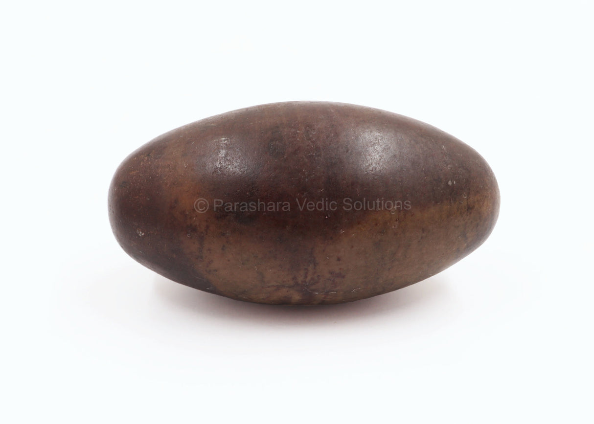 ARKAM Narmadeshwar Shivling/ Original Narmadeshwar Shivlinga/ Narmada Shivlinga/ Narmada River Shivalingam (Height: 3.5 inches, Color: Brown) - Retail Maharaj