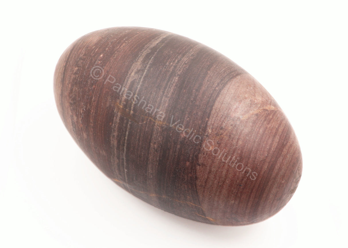 ARKAM Narmadeshwar Shivling/ Original Narmadeshwar Shivlinga/ Narmada Shivlinga/ Narmada River Shivalingam (Height: 9.5 inches, Color: Brown) - Retail Maharaj