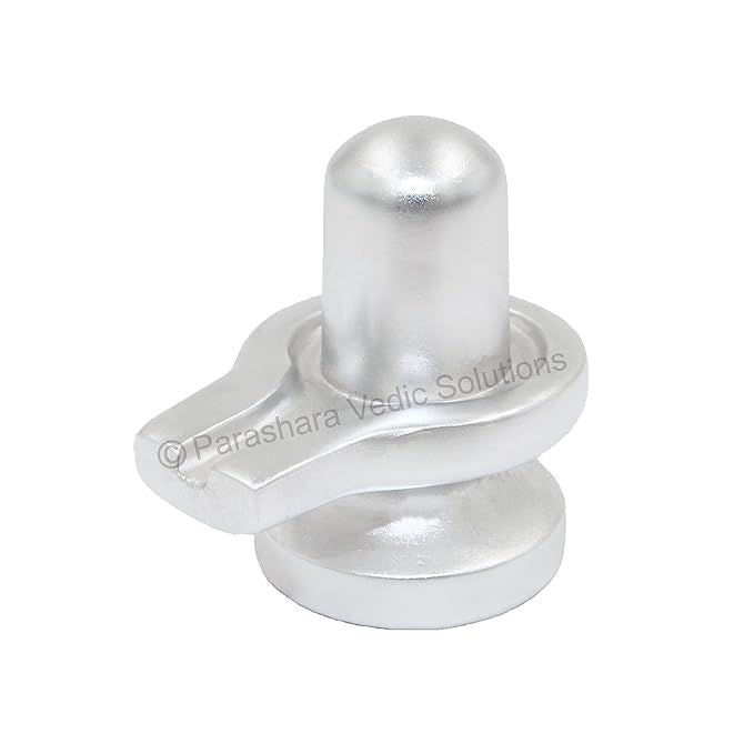 Arkam Parad Shivling /Parad Shivlinga /Mercury Shivling /Mercury Shivlinga (27 grams) - Retail Maharaj