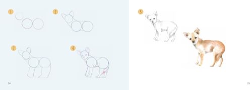 Dogs in Easy Steps (Draw 30) - Retail Maharaj