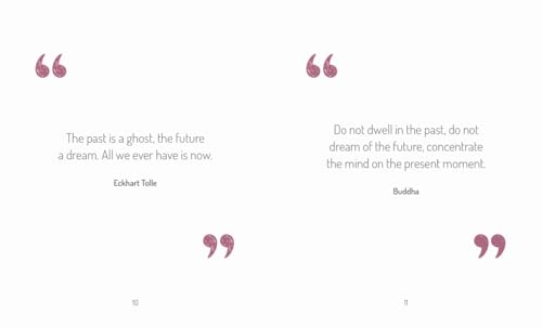 The Little Book of Mindfulness: For When Life Gets a Little Tough - Retail Maharaj