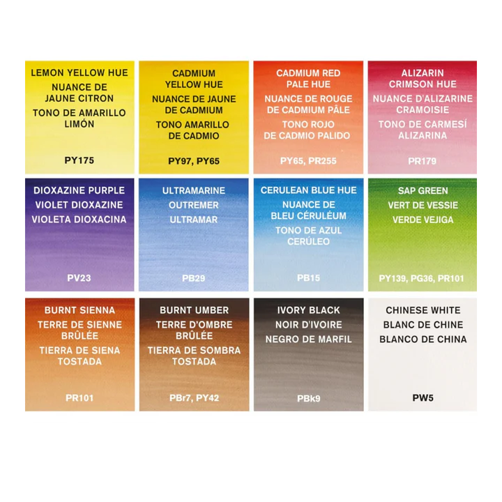 Winsor & Newton Cotman Watercolour 12 Tube Set - Professional Watercolour Paints for Artists - Retail Maharaj