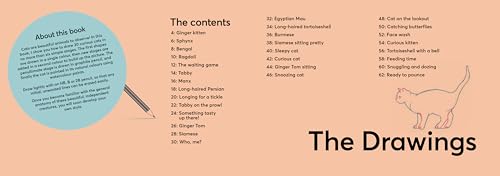 Cats: In Easy Steps (Draw 30 in Easy Steps) - Retail Maharaj