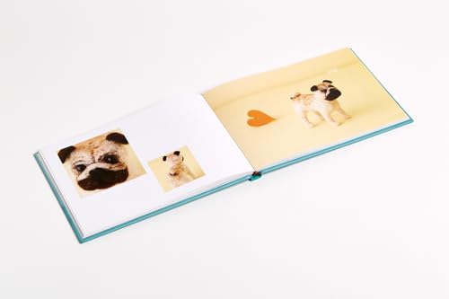 Little Felted Dogs: Easy Projects for Making Adorable Needle Felted Pups - Retail Maharaj