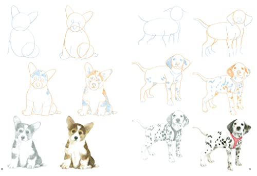 How to Draw Puppies in Simple Steps - Retail Maharaj