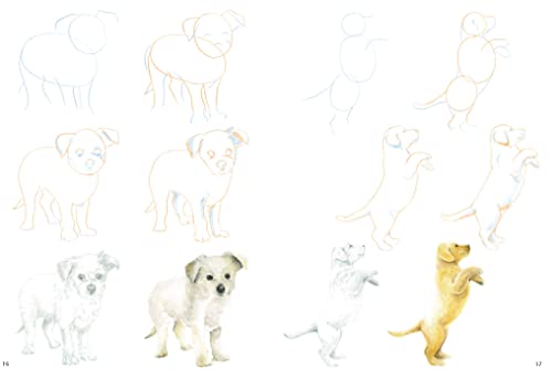 How to Draw Puppies in Simple Steps - Retail Maharaj