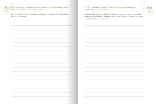 The Resilience Journal: 365 Days to Balance and Peace of Mind - Retail Maharaj