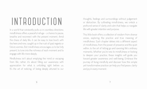 The Little Book of Mindfulness: For When Life Gets a Little Tough - Retail Maharaj