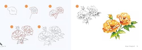 Draw 30: Flowers: in easy steps - Retail Maharaj