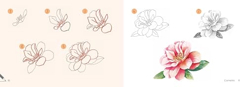 Draw 30: Flowers: in easy steps - Retail Maharaj
