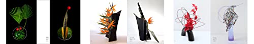 Ikebana Opposites Attract - Retail Maharaj