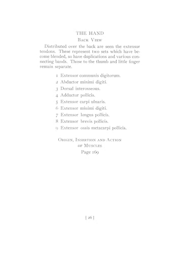 The Book of a Hundred Hands (Dover Anatomy for Artists) - Retail Maharaj
