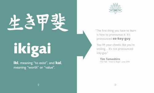 The Little Book of Ikigai - Retail Maharaj