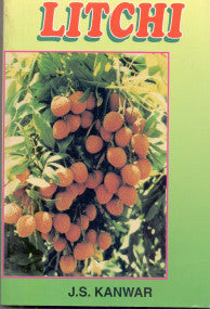 Litchi
