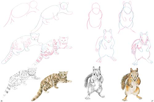 How to Draw: Mountain Animals: In Simple Steps - Retail Maharaj