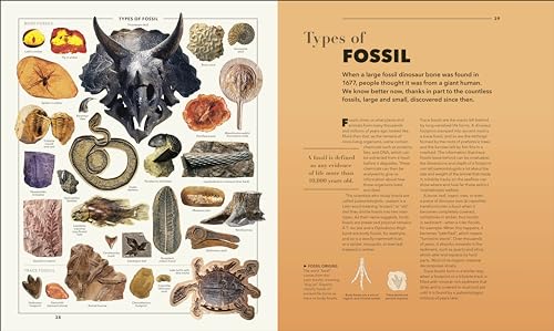 Knowledge A Visual Compendium: Making Sense of our World - Retail Maharaj