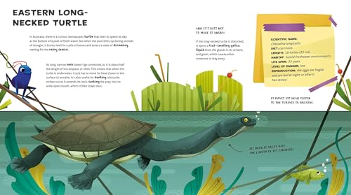The Amazing Catalog of Weirdest Reptiles - Retail Maharaj