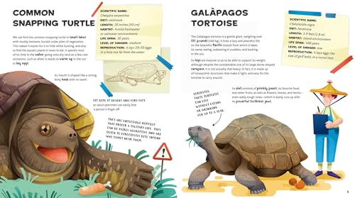 The Amazing Catalog of Weirdest Reptiles - Retail Maharaj