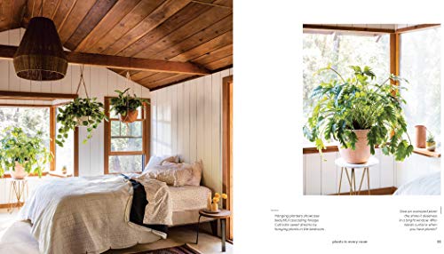 House Planted: Choosing, Growing, and Styling the Perfect Plants for Your Space - Retail Maharaj