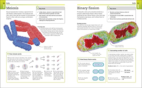 Biology: The Ultimate Bitesize Study Gui - Retail Maharaj