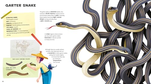 The Amazing Catalog of Weirdest Reptiles - Retail Maharaj