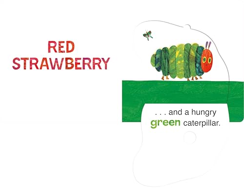 Colours: Learn and Play with The Very Hungry Caterpillar: A Lift-the-Flap Book - Retail Maharaj