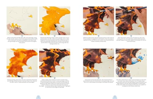 Simply Paint Birds: A Complete Watercolour Course for Beginners - Retail Maharaj