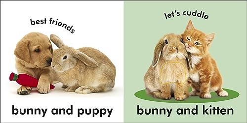 Baby Touch and Feel Bunny - Retail Maharaj