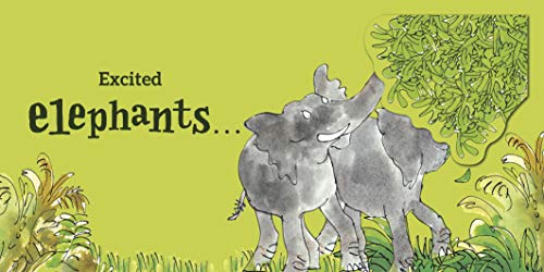 Roald Dahl: Animal Sounds: A lift-the-flap book - Retail Maharaj