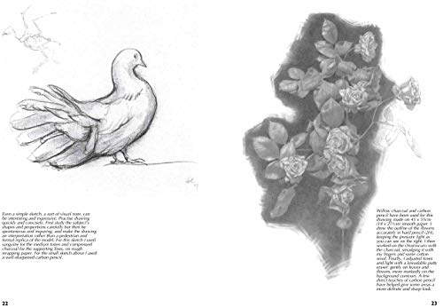 Drawing Nature: A Complete Guide (Art of Drawing) - Retail Maharaj