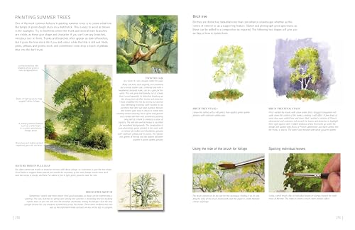 David Bellamy's Complete Guide to Landscapes: Painting the natural world in watercolour - Retail Maharaj