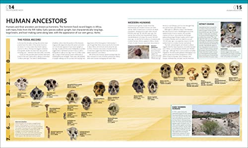 The Complete Human Body: The Definitive Visual Guide - Retail Maharaj