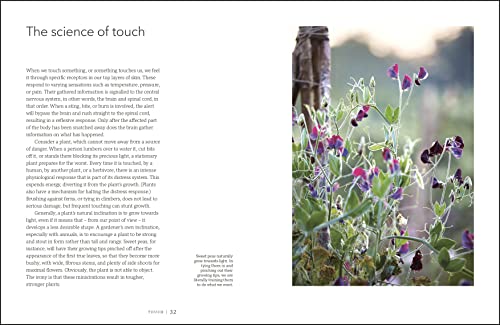 Garden for the Senses: How Your Garden Can Soothe Your Mind and Awaken Your Soul - Retail Maharaj