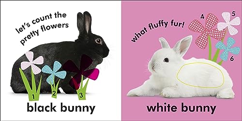 Baby Touch and Feel Bunny - Retail Maharaj